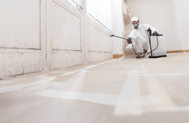 24/7 Emergency Mold Testing experts in Billerica, MA