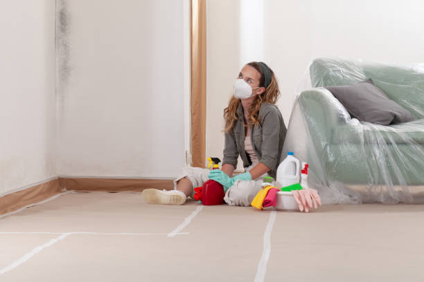 Reliable Mold Remediation contractor in Billerica, MA by Cheap Mold Removal